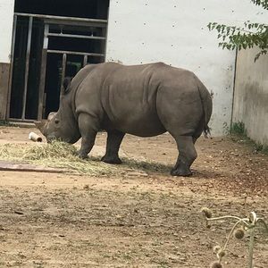 Meet your Posher, Courtnee